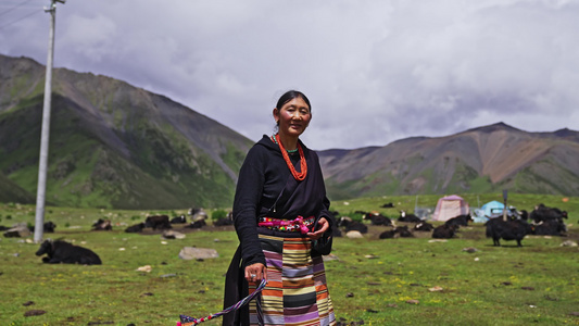 西藏萨普神山下的牧民视频