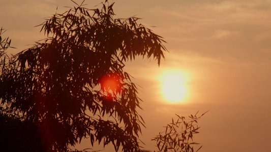 4k实拍夕阳日落唯美素材视频