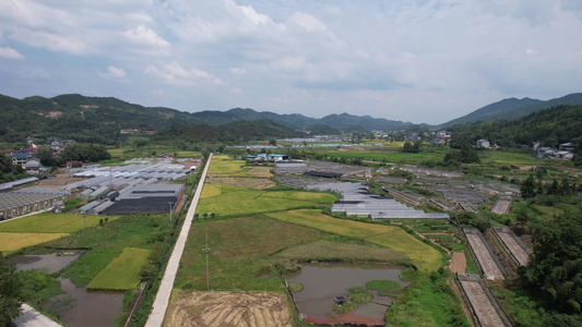 山川丘陵农田农业种植美丽乡村航拍 视频