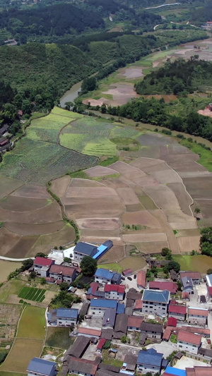 航拍乡村农田36秒视频