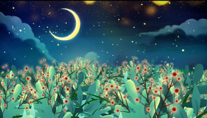 夜景月色花海穿梭15秒视频