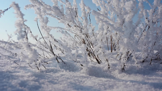 冬天雪地雾凇唯美空镜视频