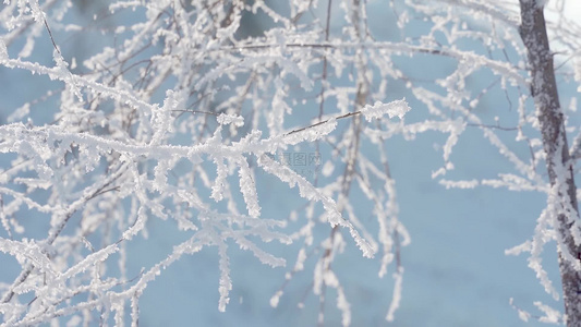 冬天雪地雾凇唯美空镜视频