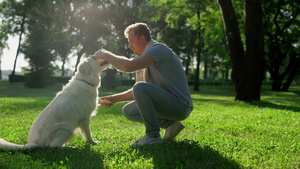 快乐的人抚摸着金毛猎犬公园31秒视频