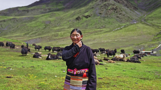 西藏萨普神山牧民视频