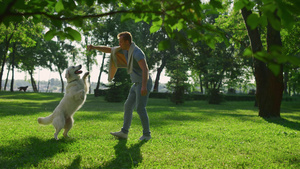 英俊的男人在城市公园阳光明媚的日子里训练狗把戏25秒视频