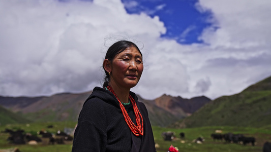 西藏萨普神山牧民视频
