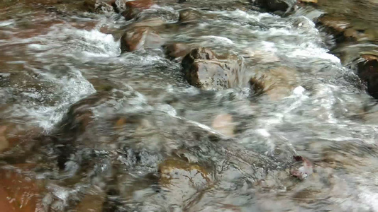 清澈的河水水流4K实拍视频[澄净]视频