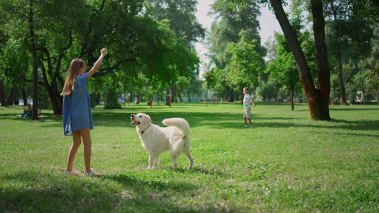 可爱的女孩在绿色公园中训练狗视频