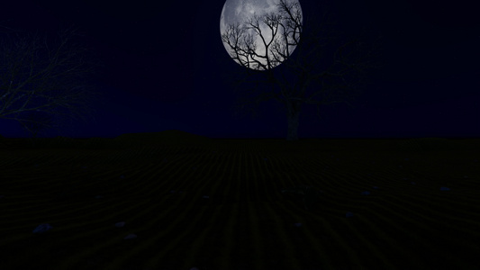满月在树后面夜间没有枝木视频