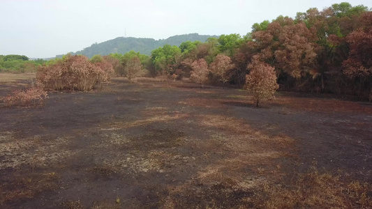 湿地旱地视频