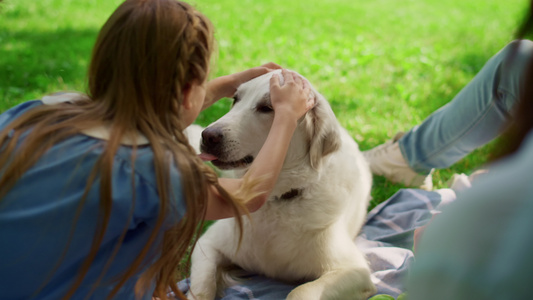 可爱的小女孩在公园野餐时抱着拉布拉多犬视频