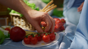 未知的人类手在野餐特写上拿西红柿17秒视频
