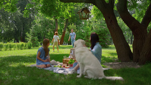 在公园野餐时积极的家庭休闲27秒视频