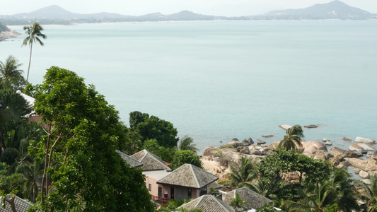 海滨别墅和棕榈树热带度假胜地平静海海岸上的小屋和绿色视频