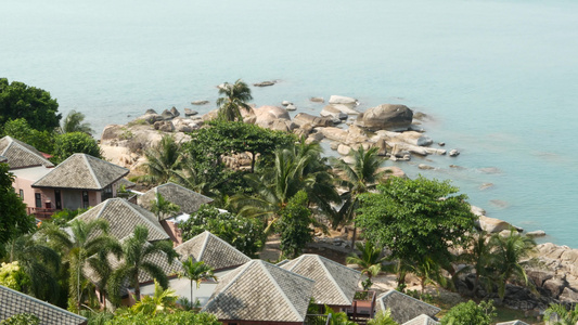 海滨别墅和棕榈树热带度假胜地平静海海岸上的小屋和绿色视频