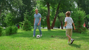 运动型男子在绿色公园将球传给活跃的儿子26秒视频