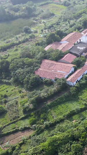 航拍农村的农田和农民自建美丽的乡村房屋41秒视频