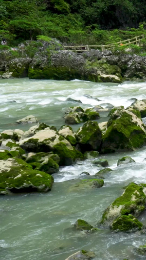 山间石澜流水河流高山流水25秒视频