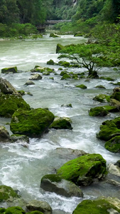 山间石澜流水河流高山流水视频