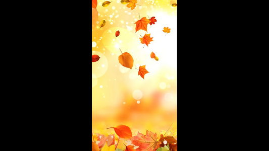 金色秋天树落叶堆积下落浪漫背景视频