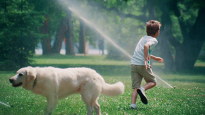 在夏日公园的洒水器旁快乐的小孩从可爱的宠物身边跑出来15秒视频
