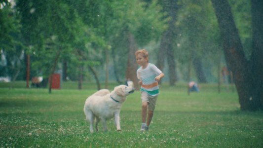 快乐的小孩在夏季公园里一起玩金毛猎犬视频