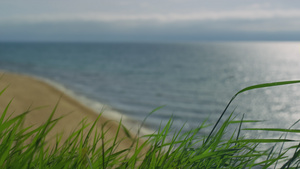草在户外移动海海滩26秒视频