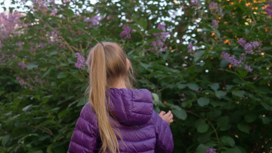 年轻的女孩在春天的一天在城市公园里沿着盛开的丁香树视频