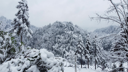 雪景 大山航拍视频