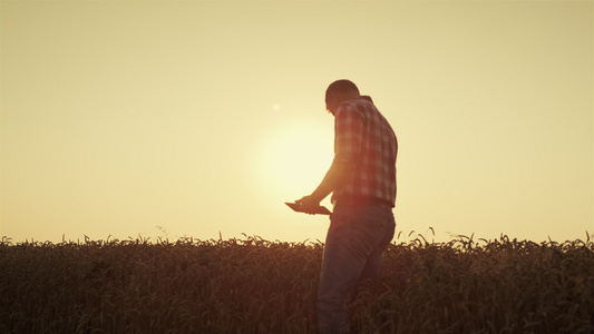 农民剪影在金色的日落时使用平板电脑视频