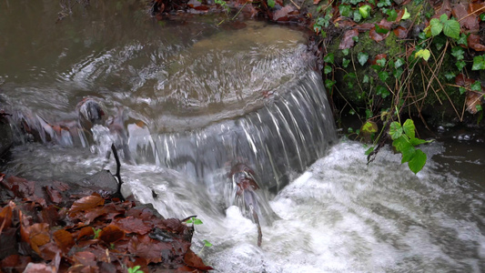 水的体数视频