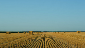 在阳光明媚的夏日小麦干草堆场视图10秒视频