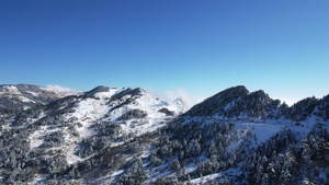 航拍冬天雪景湖北神农架蜿蜒积雪的山路4k素材63秒视频