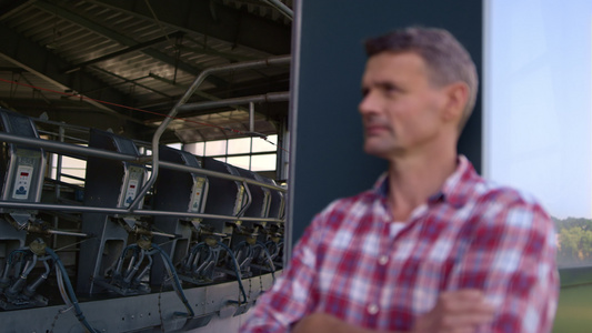农民在制造设施特写镜头中休息奶牛场视频