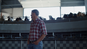 家畜专家检查奶制品生产中的挤奶转盘17秒视频