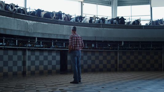 农民在技术牛棚中检查工作挤奶系统观看转盘视频