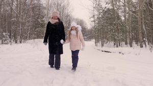母亲和女儿一起走过冬季森林之路松树树林下雪松树树林36秒视频