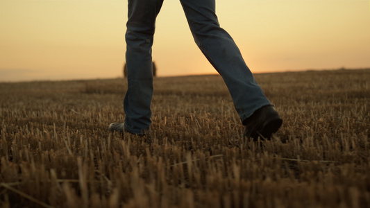 农夫靴子在金色的日落特写中带着干草堆走在田野里视频