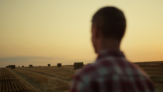 农民站在干草堆场金色的日落背影视频
