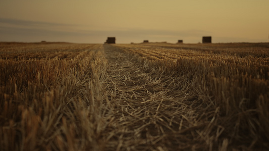 在金黄秋天日落的干草堆麦田风景视频