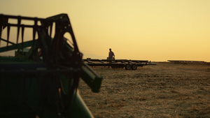 农民在麦田金色日落时检查收割过程结果22秒视频