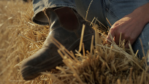 在干草堆特写镜头农夫尘土飞扬的靴子13秒视频