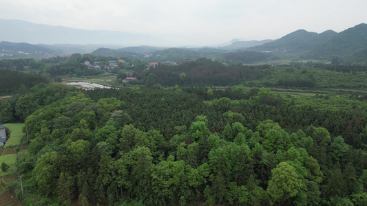 美丽乡村农田农业种植山川丘陵航拍 视频