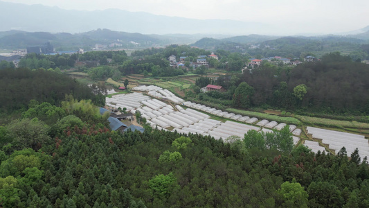 美丽乡村农田农业种植山川丘陵航拍 视频