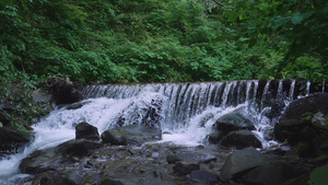 夏季水景景观58秒视频