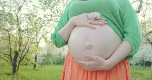 怀着大肚子的孕妇手握鲜花13秒视频