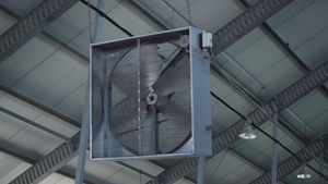工业风扇控制现代农业牛棚的温度13秒视频
