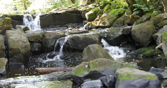 河流河道上铺满了瀑布的岩石视频