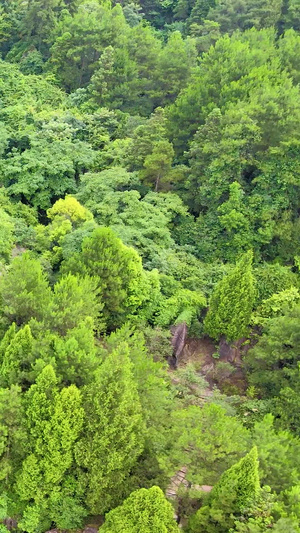 湖南红石林景区航拍旅游景点51秒视频